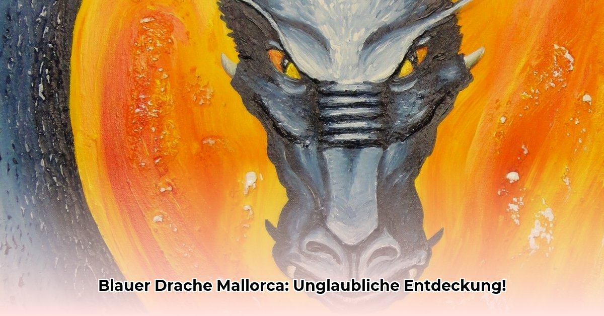 blauer-drache-mallorca